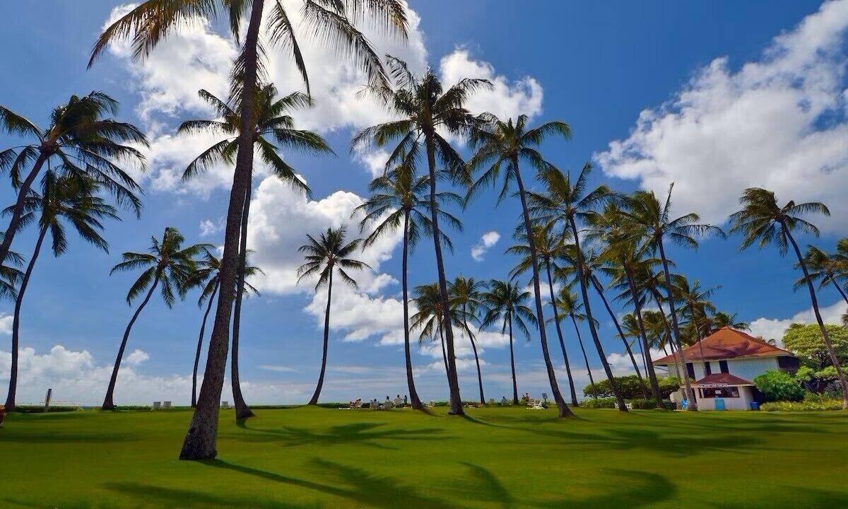 Photo of Others in Poipu