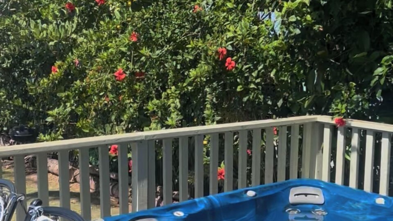 Photo of Outdoor in Mokuleia