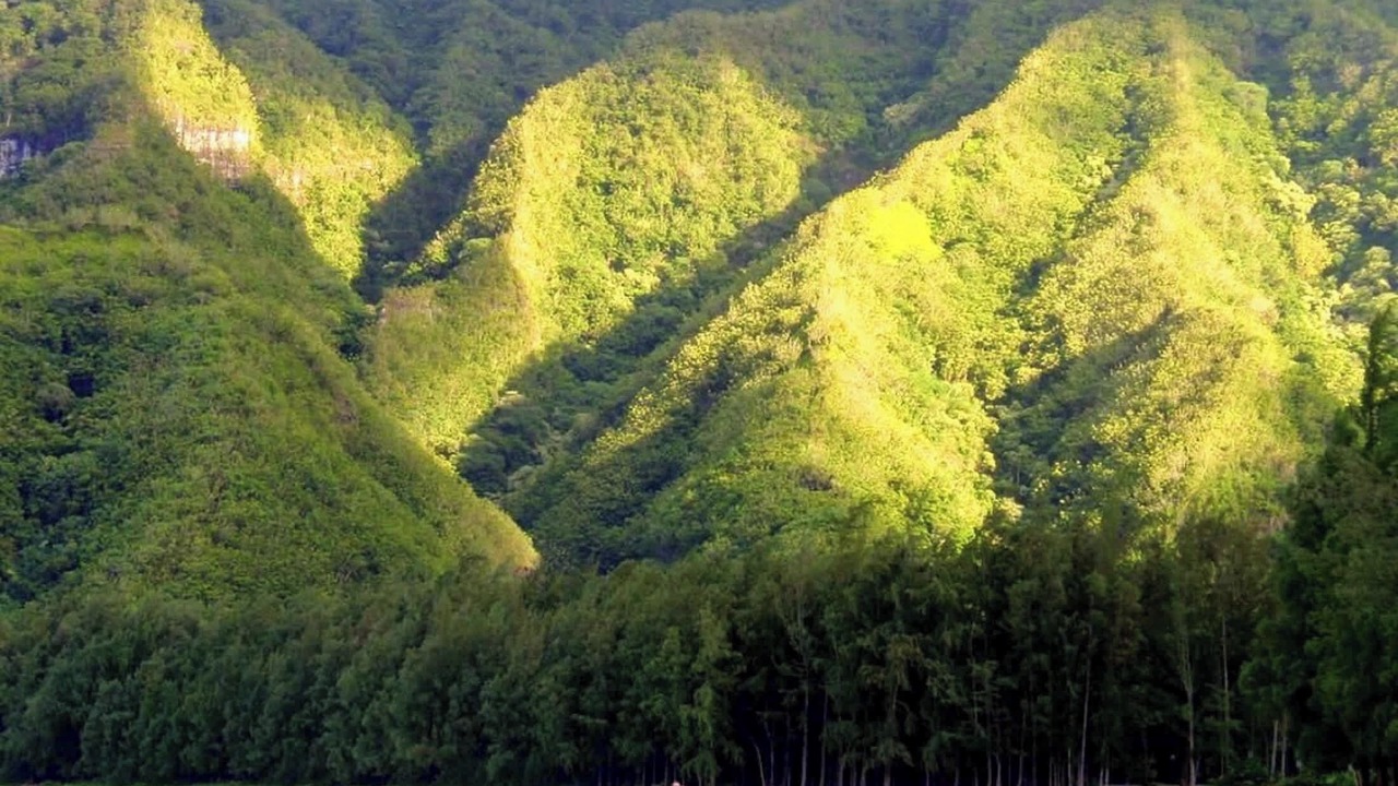 Photo of Others in Hauula