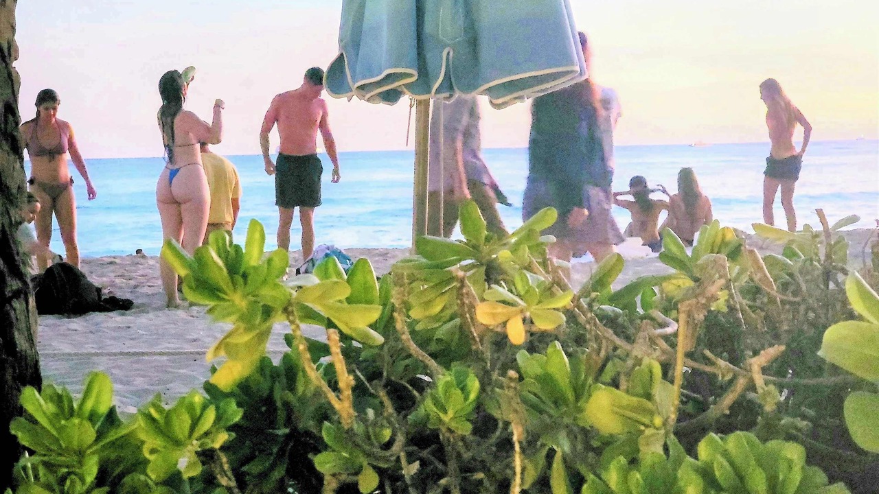 Photo of Others in Hauula