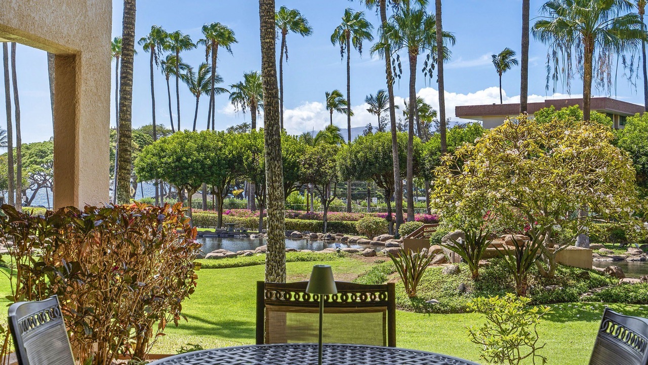 Photo of Outdoor in Kihei