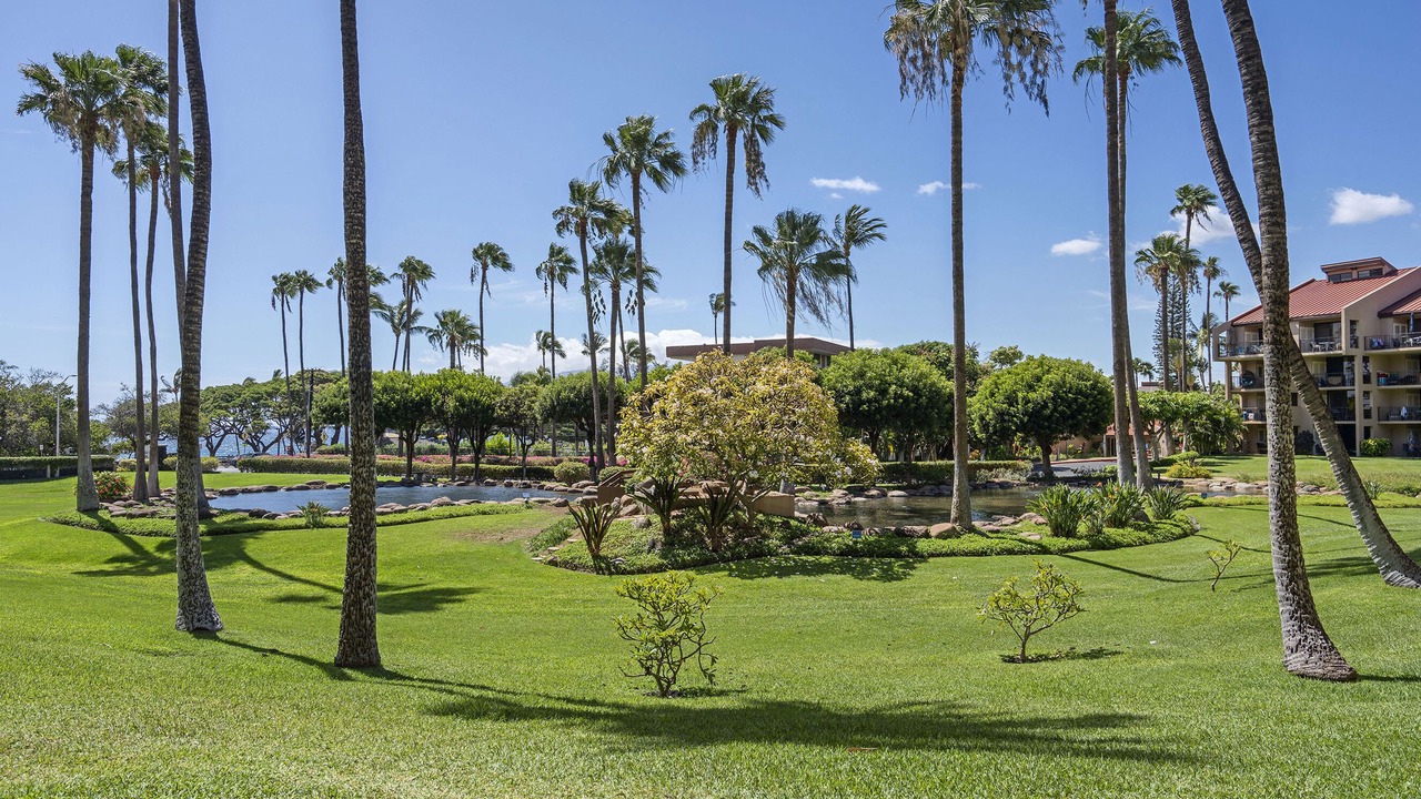 Photo of Outdoor in Kihei