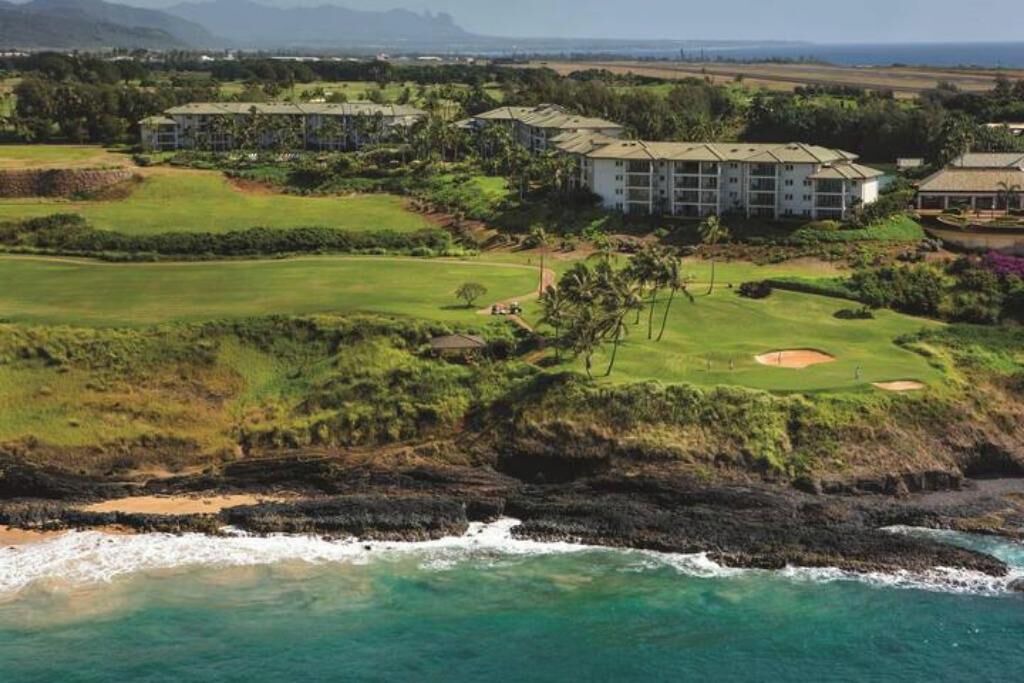Photo of Others in Lihue