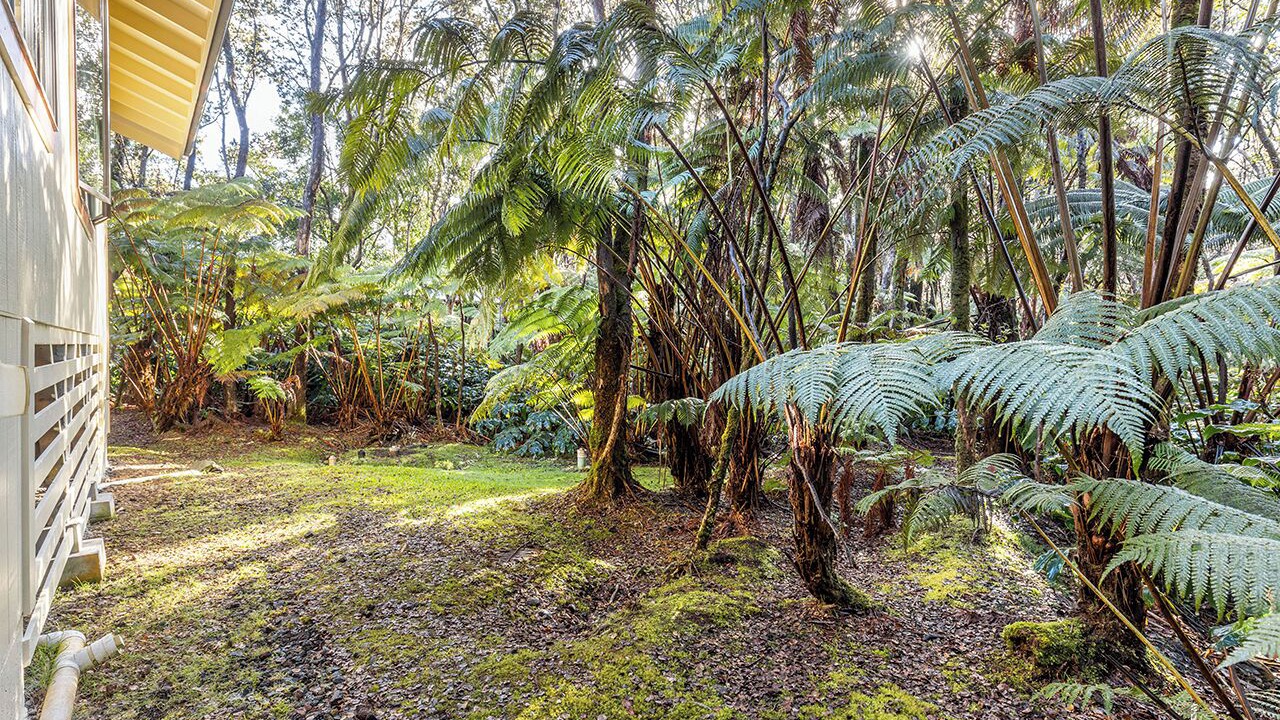 Photo of Outdoor in Volcano