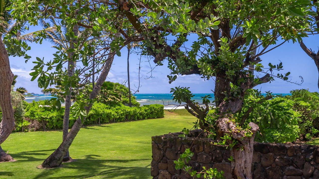 Photo of Others in Kailua