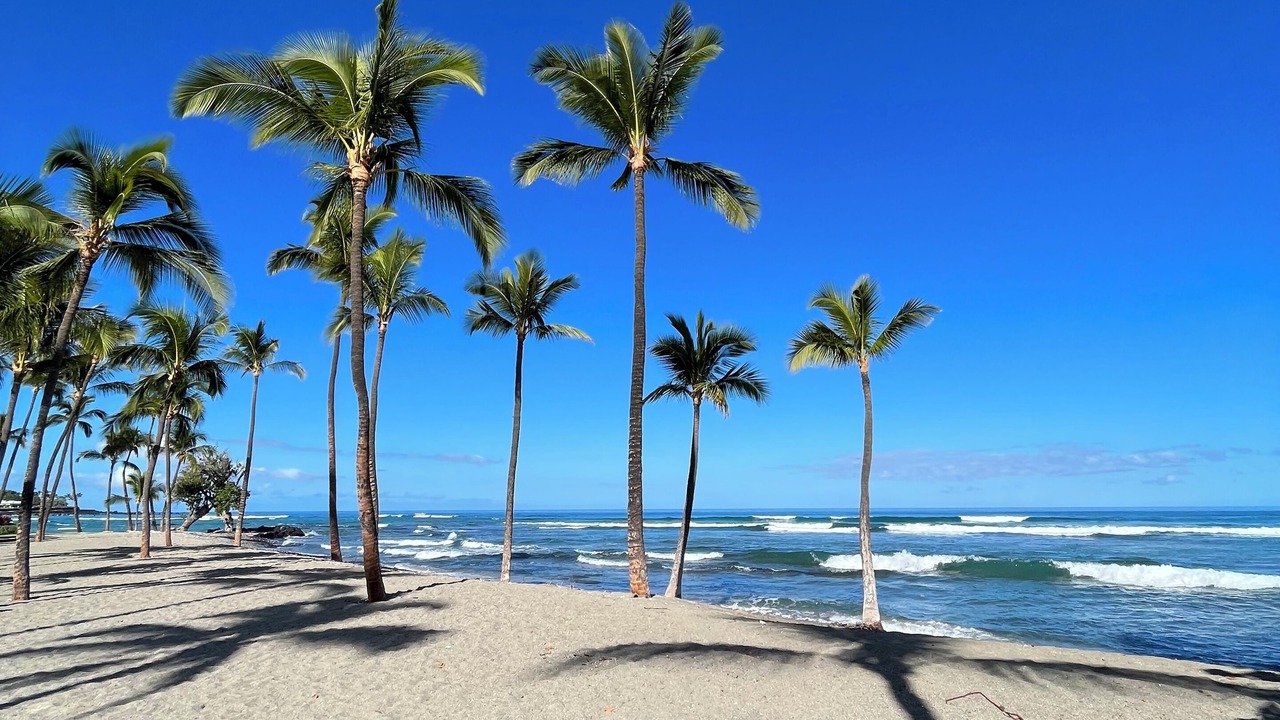 Photo of Others in Kulalani