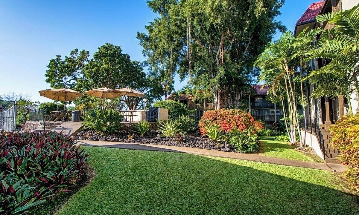 Photo of Outdoor in Historic Kailua Village