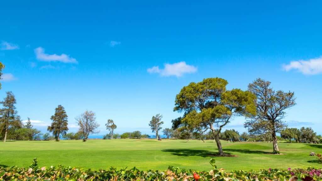 Photo of Others in Waikoloa Village