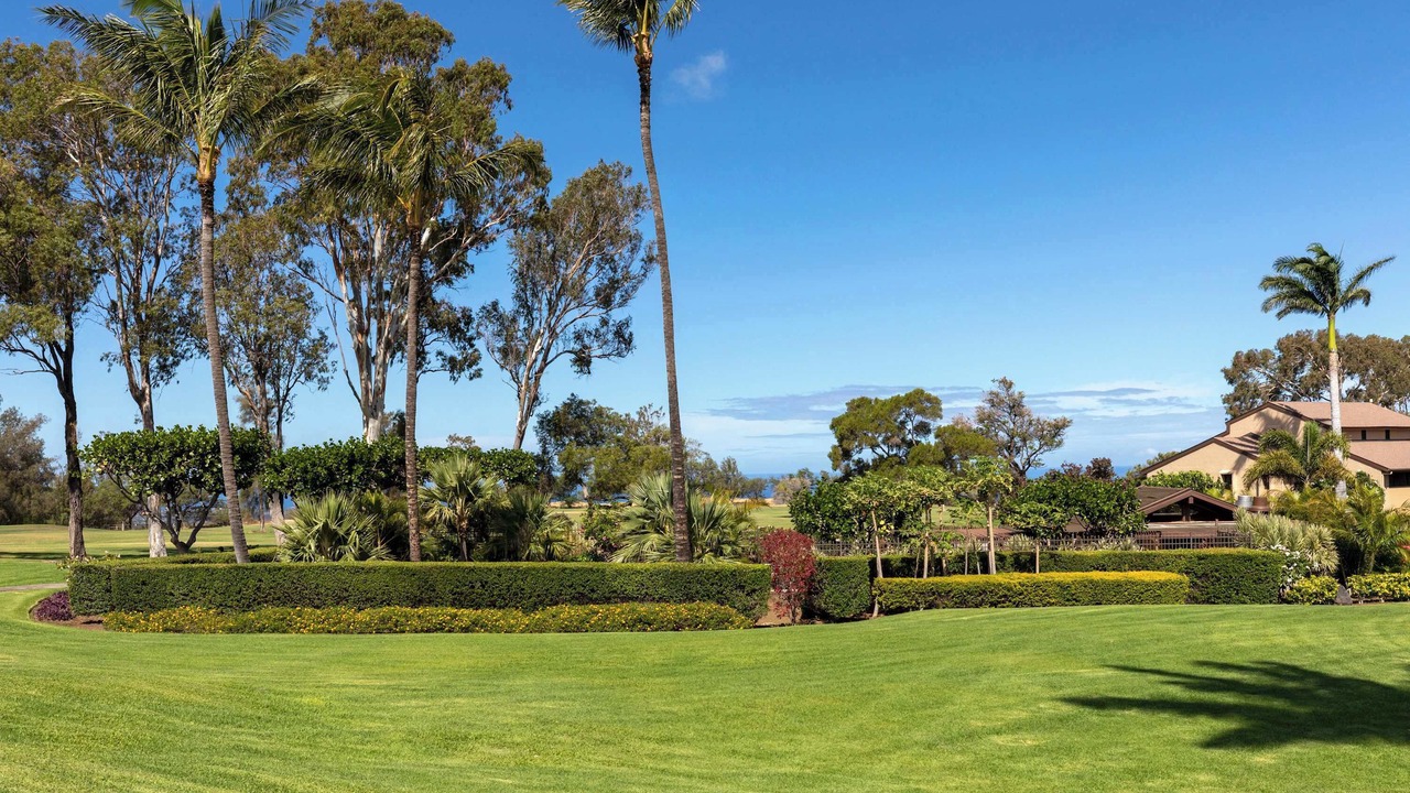 Photo of Outdoor in Waikoloa Village