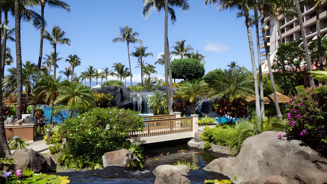 Photo of Outdoor in Lahaina