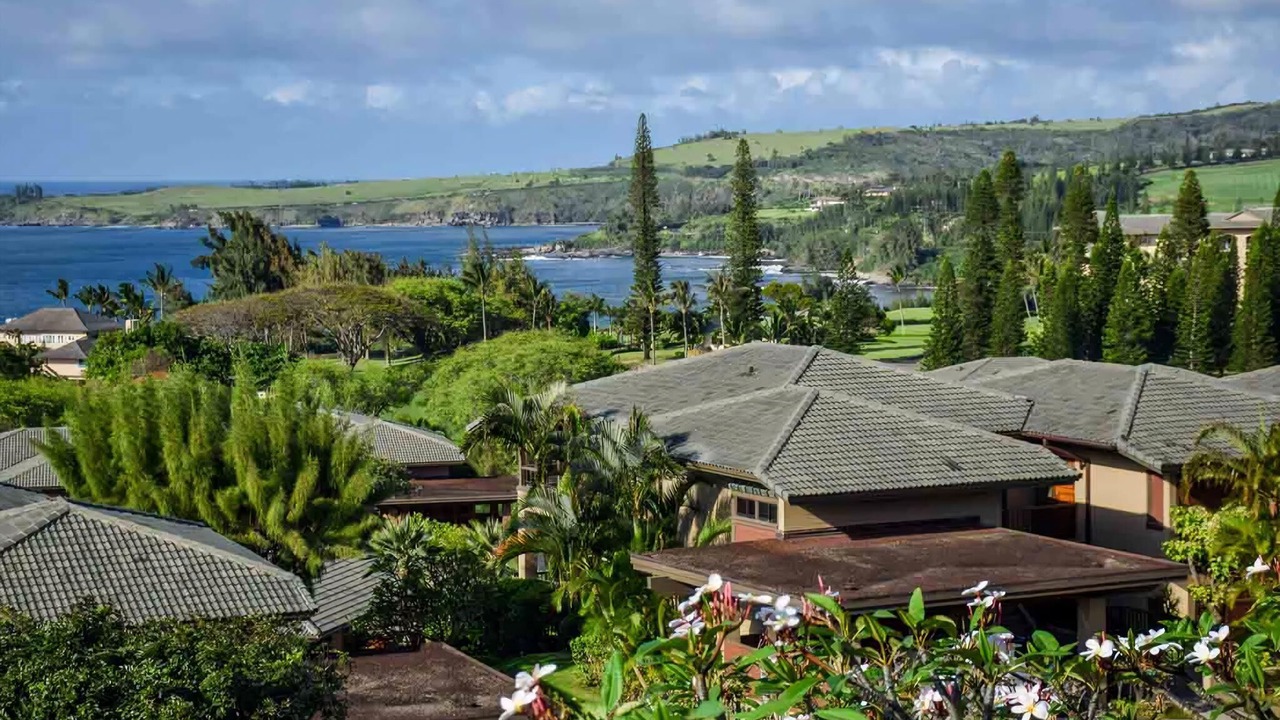 Photo of Others in Kapalua