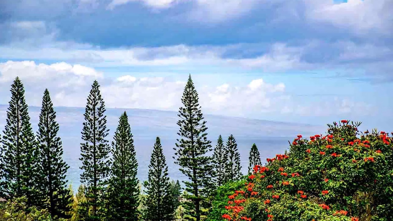 Photo of Others in Kapalua