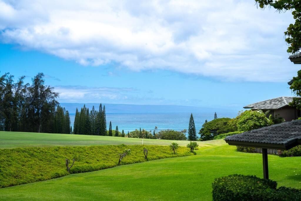 Photo of Others in Kapalua