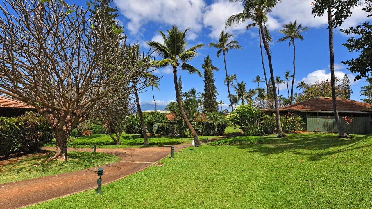 Photo of Others in Kaanapali