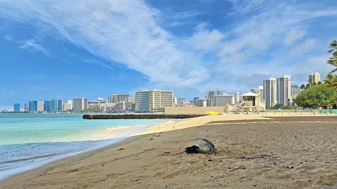 Photo of Others in Diamond Head - Kapahulu - St. Louis