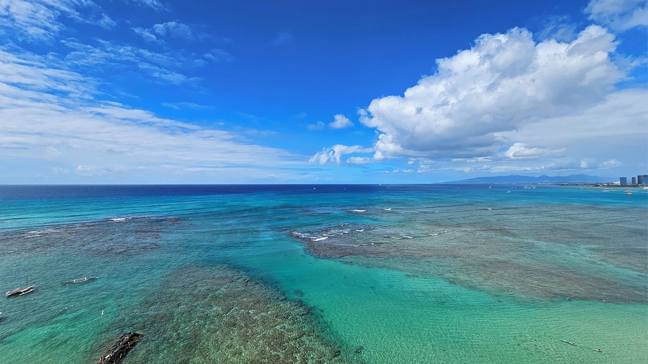 Photo of Others in Diamond Head - Kapahulu - St. Louis