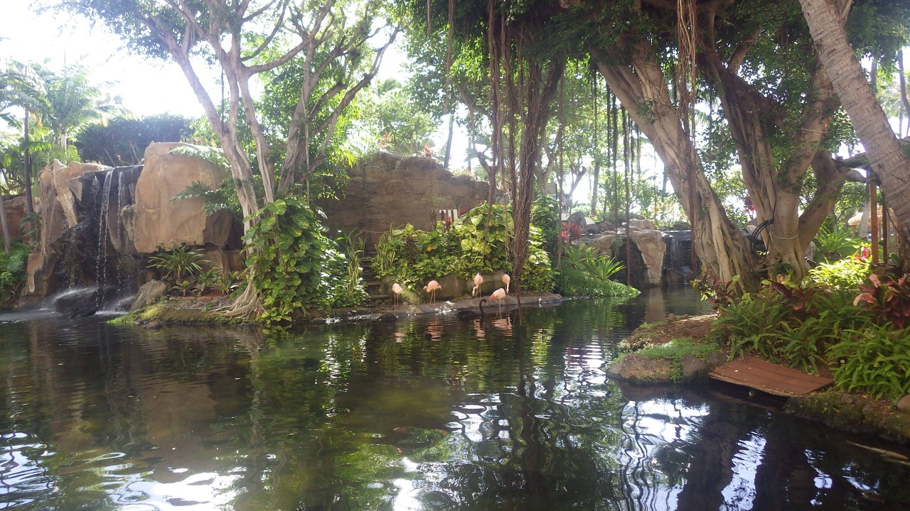Photo of Others in Princeville