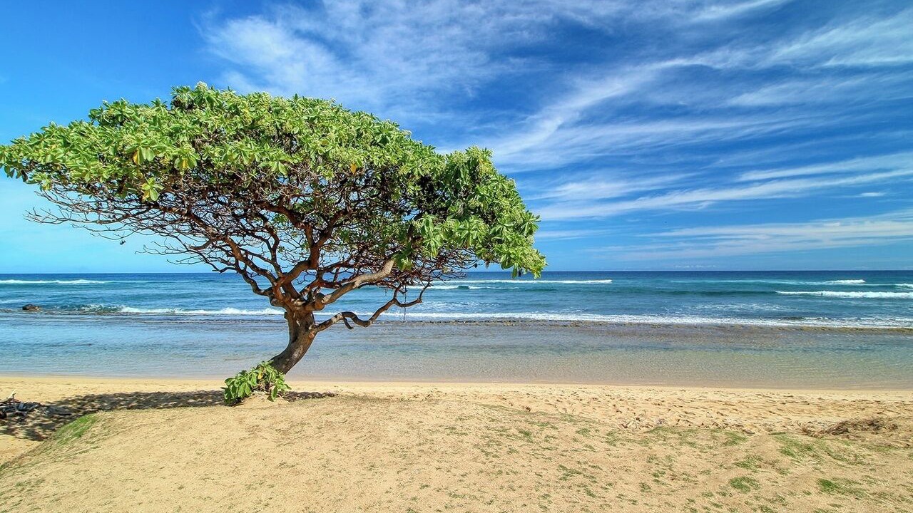 Photo of Others in Hanamaulu