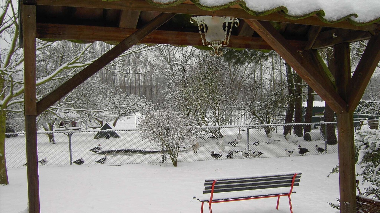 Photo of Outdoor in Bergen op Zoom