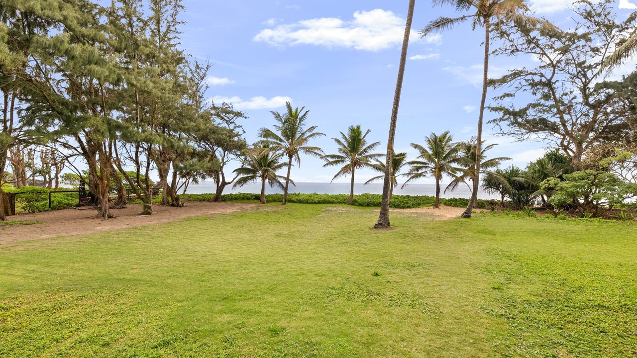 Photo of Outdoor in Laie