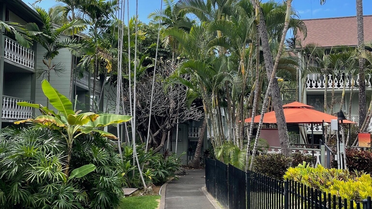 Photo of Others in Historic Kailua Village