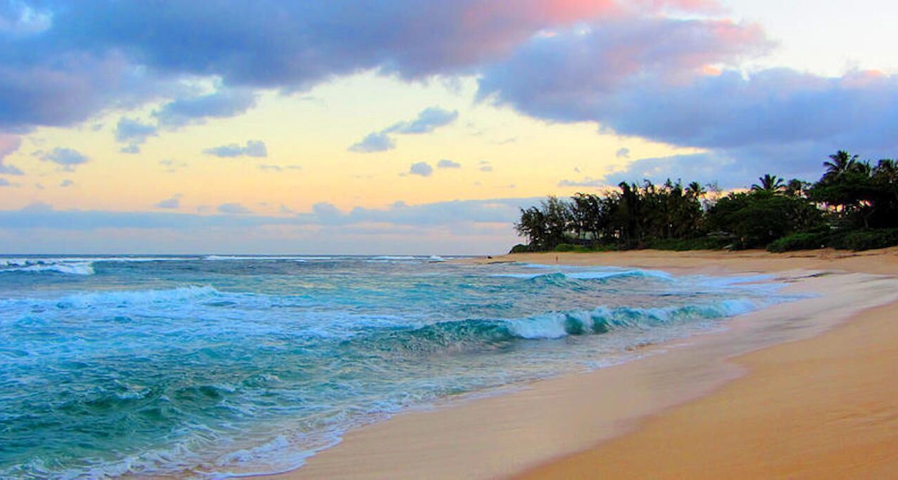 Photo of Others in Pupukea