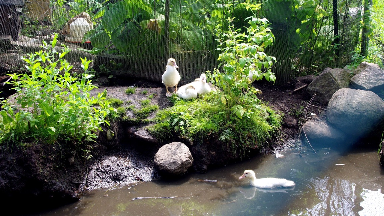 Photo of Others in Ulrichshusen