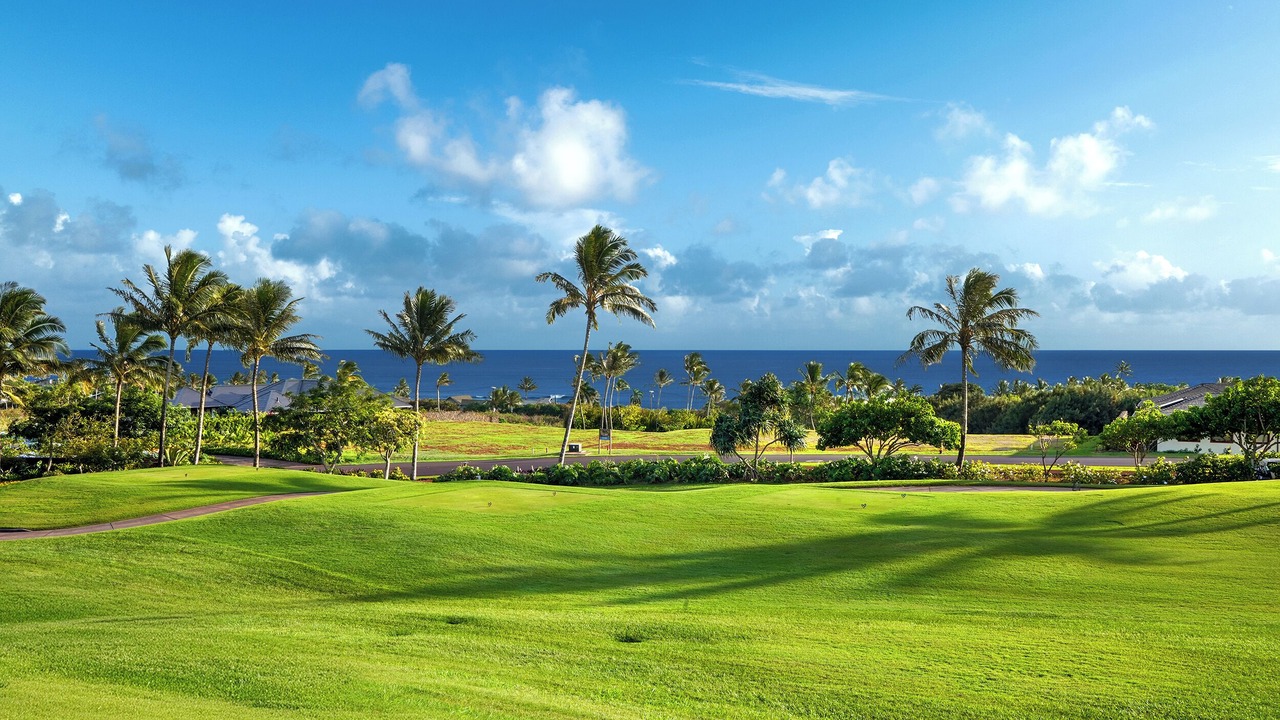 Photo of Others in Poipu
