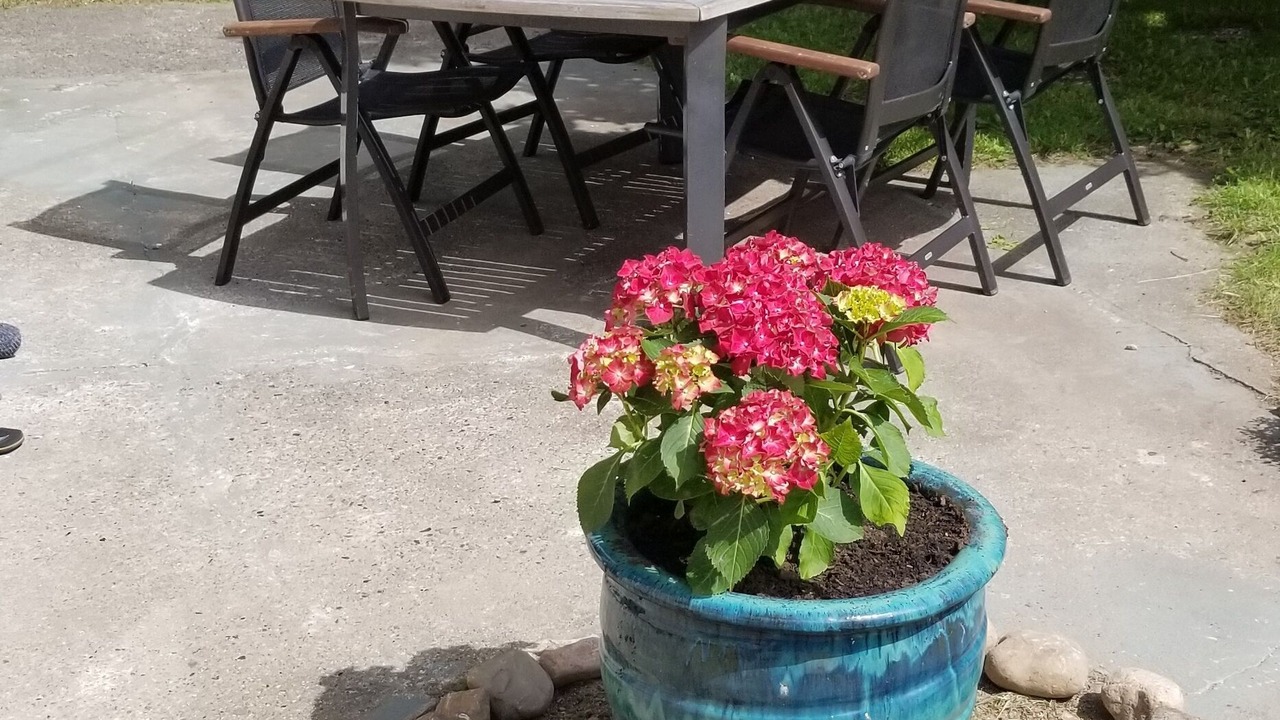 Photo of Outdoor in Karlshof/Israelsdorf/Gothmund