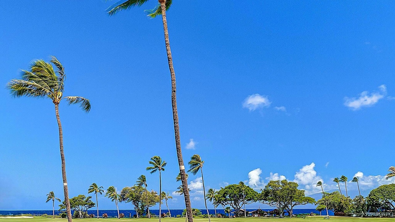 Photo of Others in Kaanapali