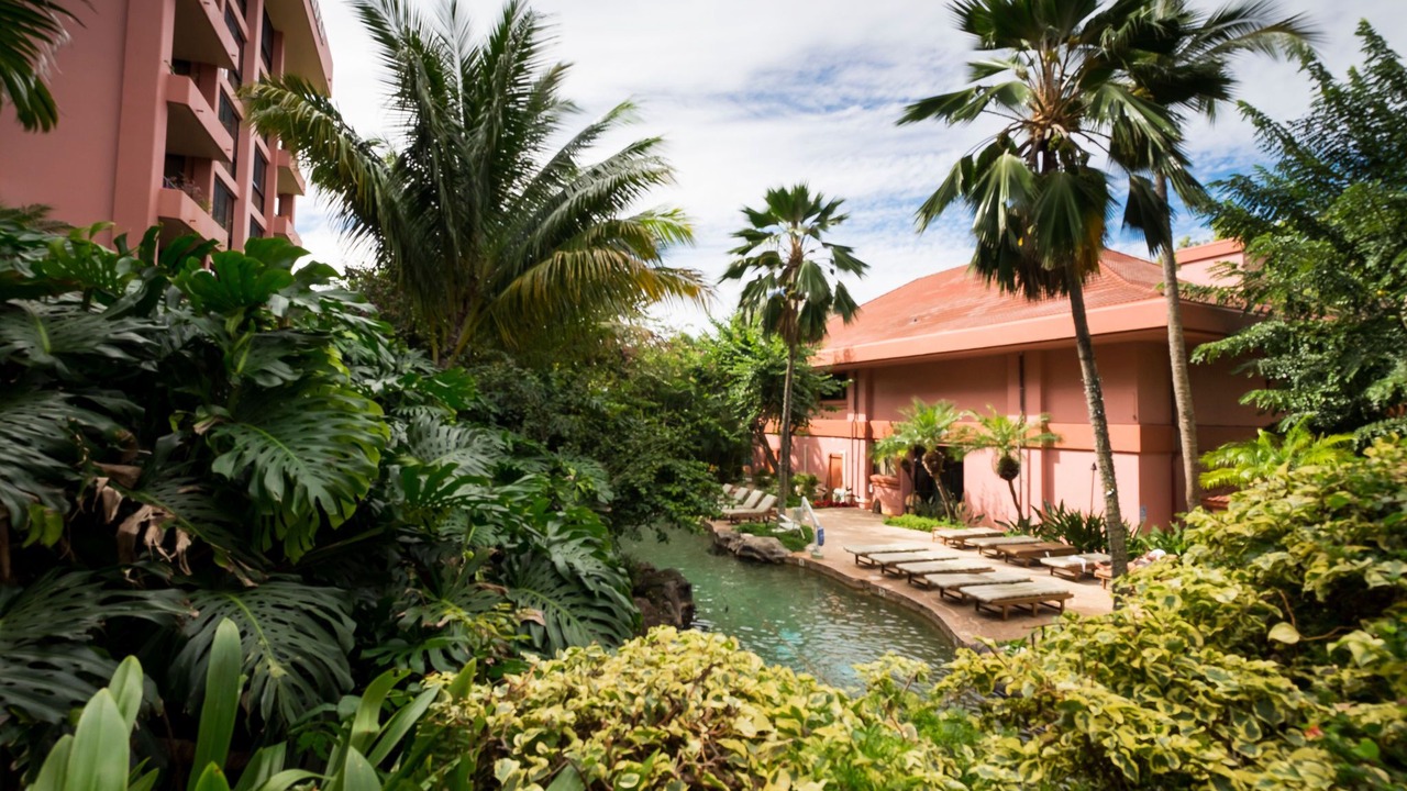 Photo of Outdoor in Kahana