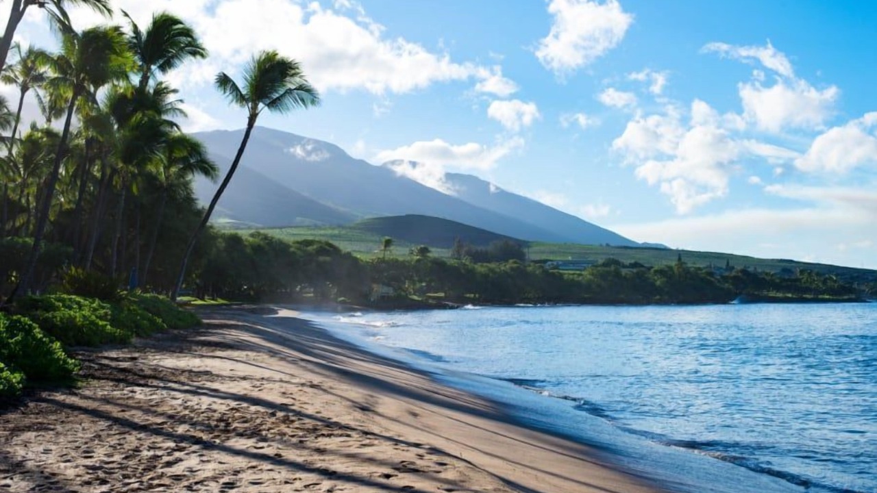 Photo of Others in Kahana