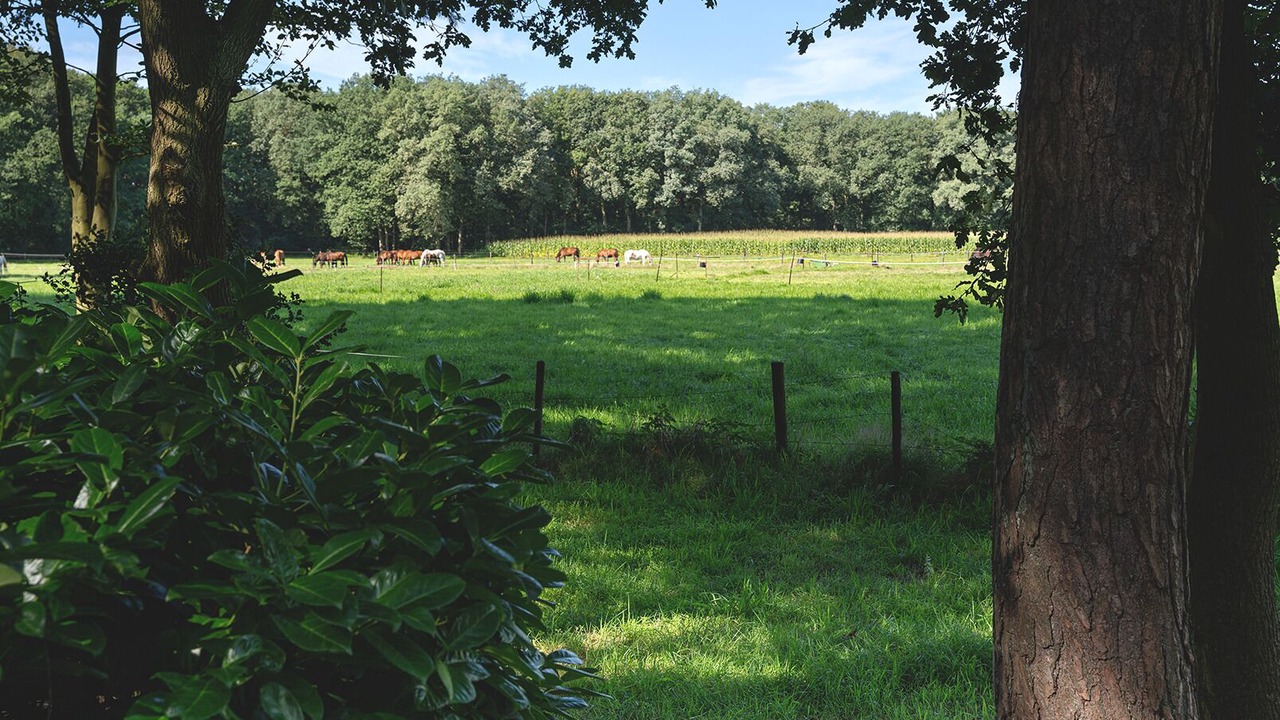 Photo of Others in Soest