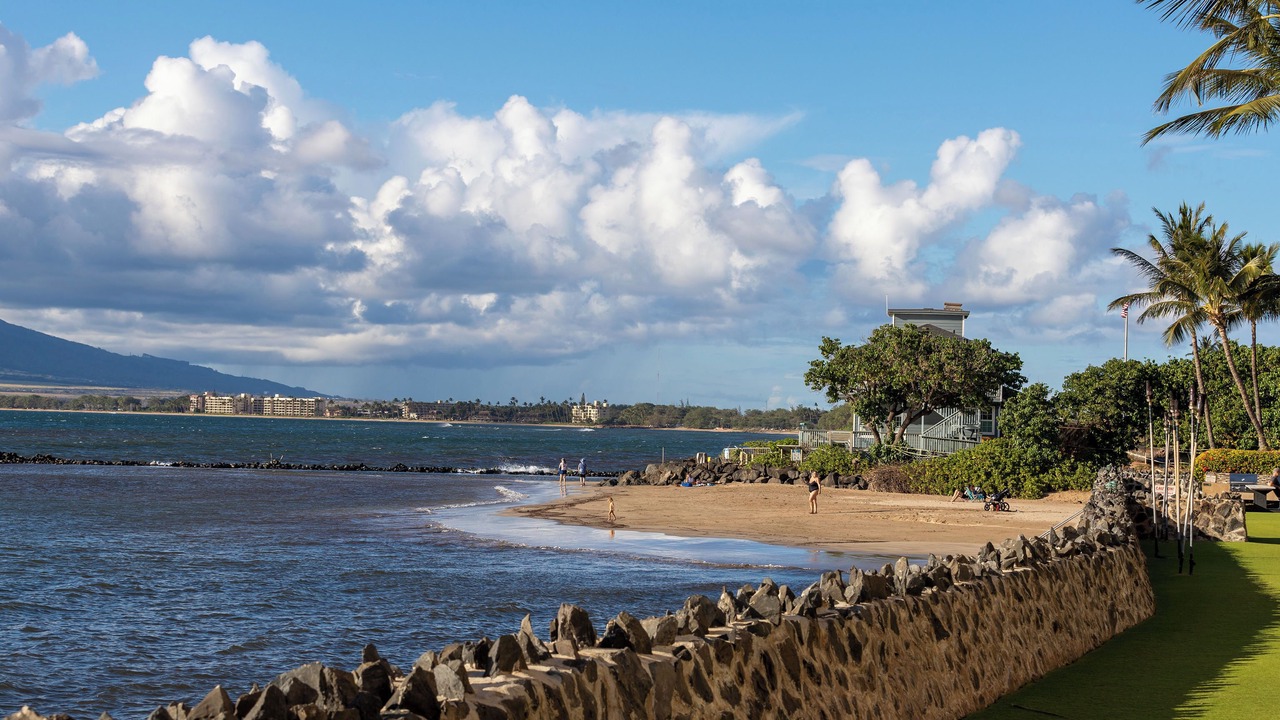 Photo of Others in Kihei