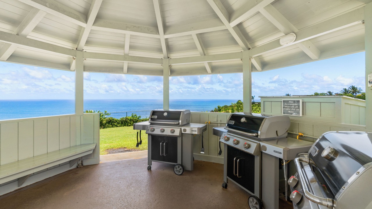 Photo of Outdoor in Princeville