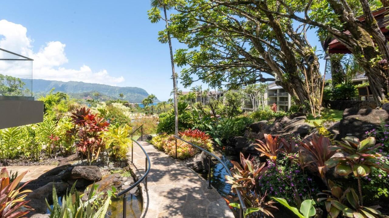 Photo of Outdoor in Princeville