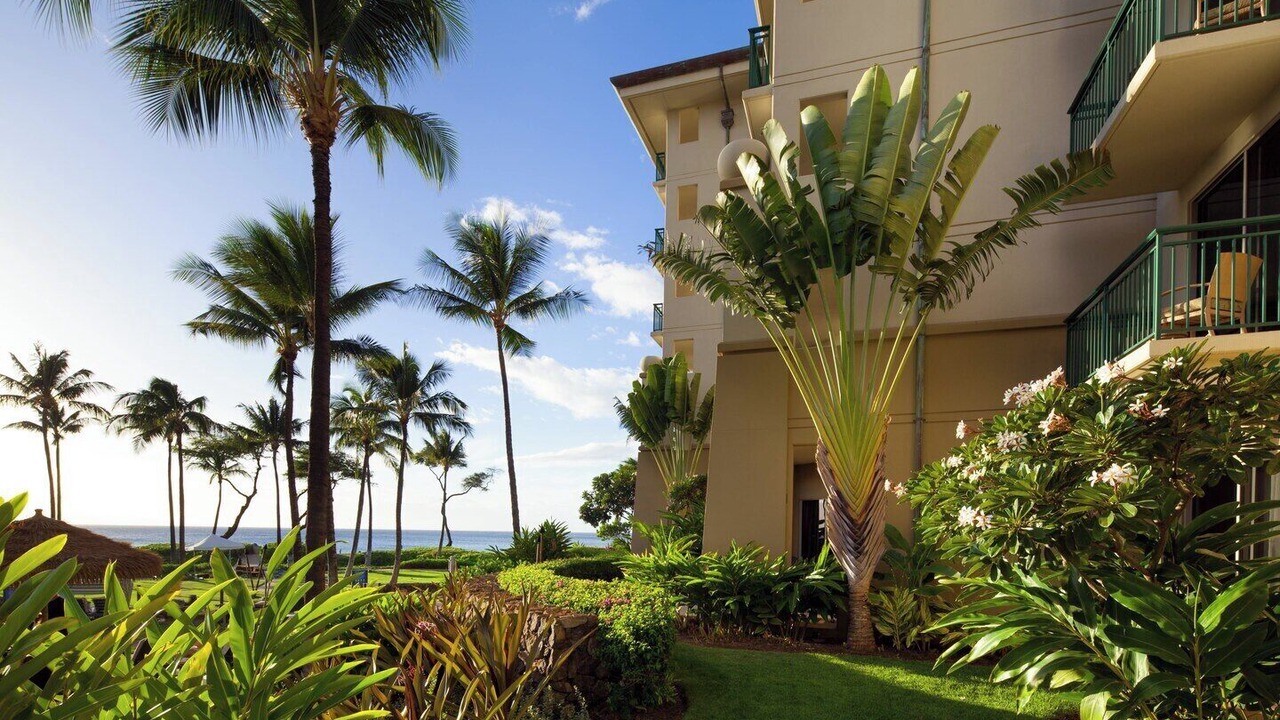 Photo of Outdoor in Lahaina