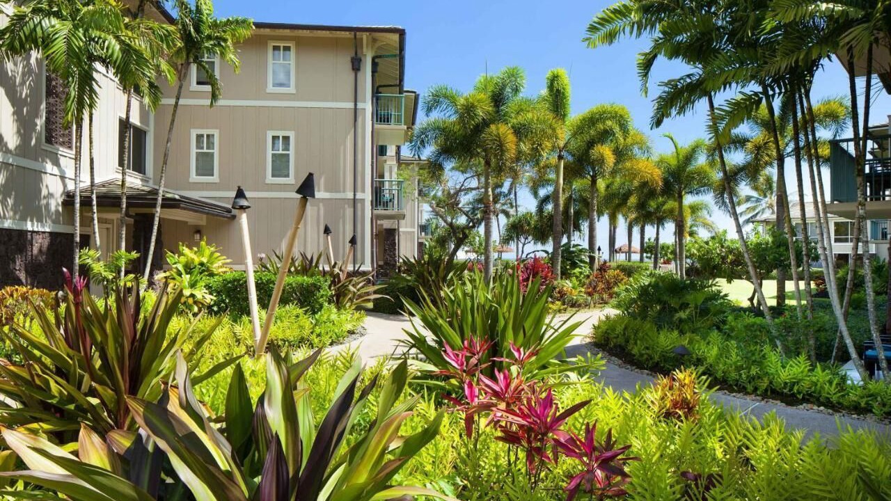 Photo of Outdoor in Princeville