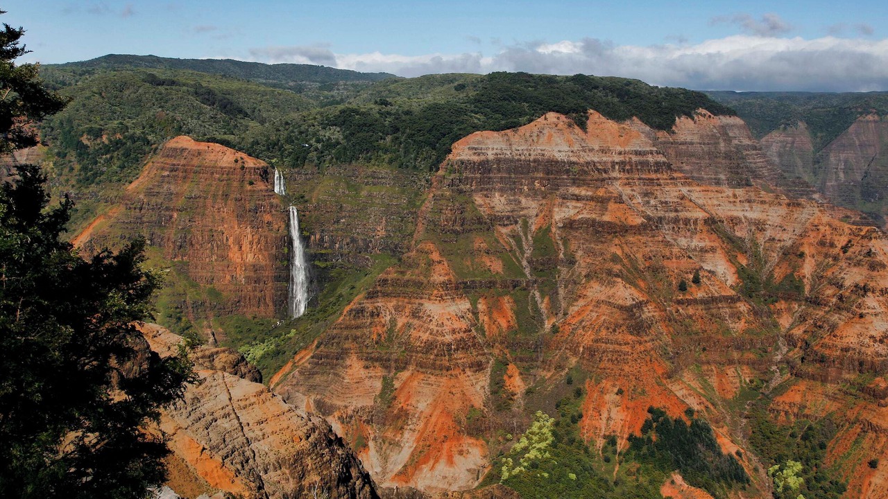 Photo of Others in Poipu