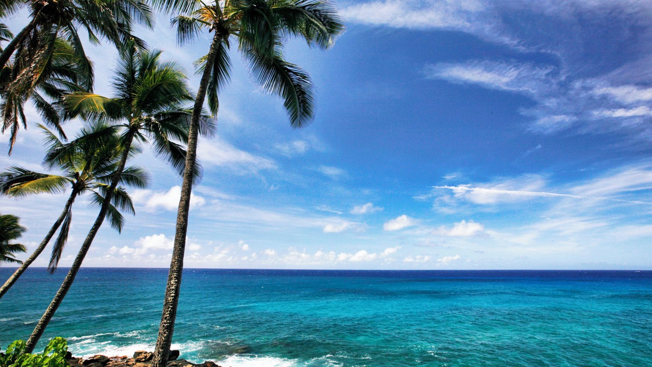 Photo of Others in Poipu