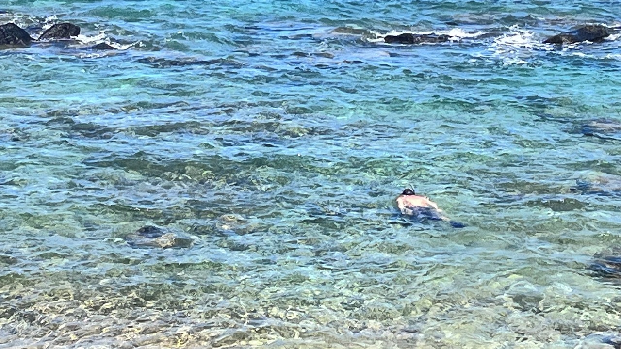 Photo of Others in Anahola