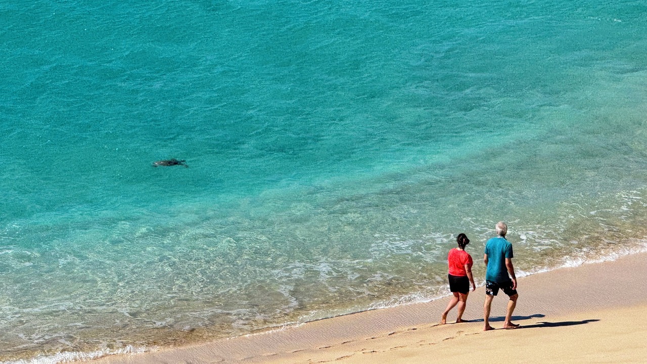 Photo of Others in Makaha