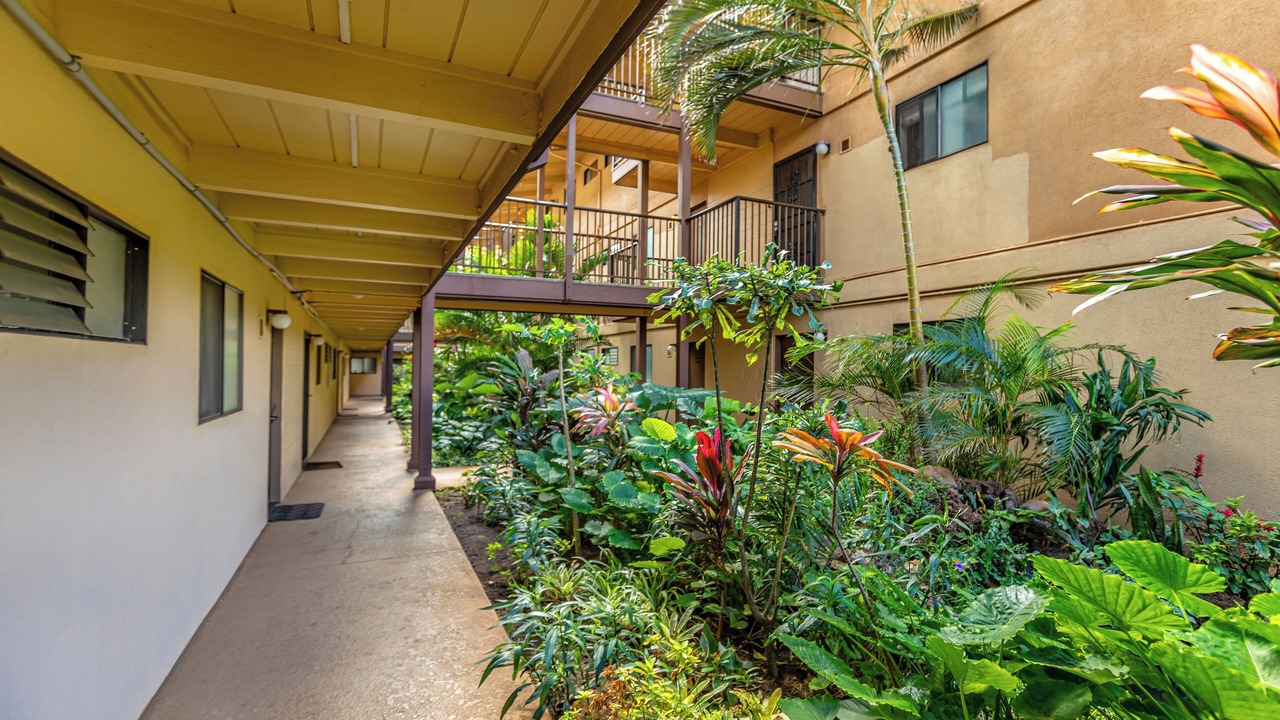 Photo of Outdoor in Maalaea
