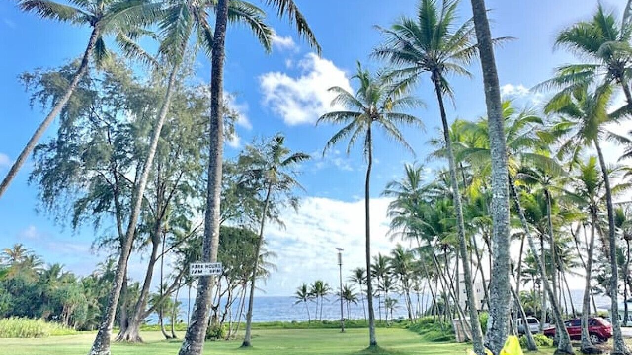 Photo of Others in Kapoho