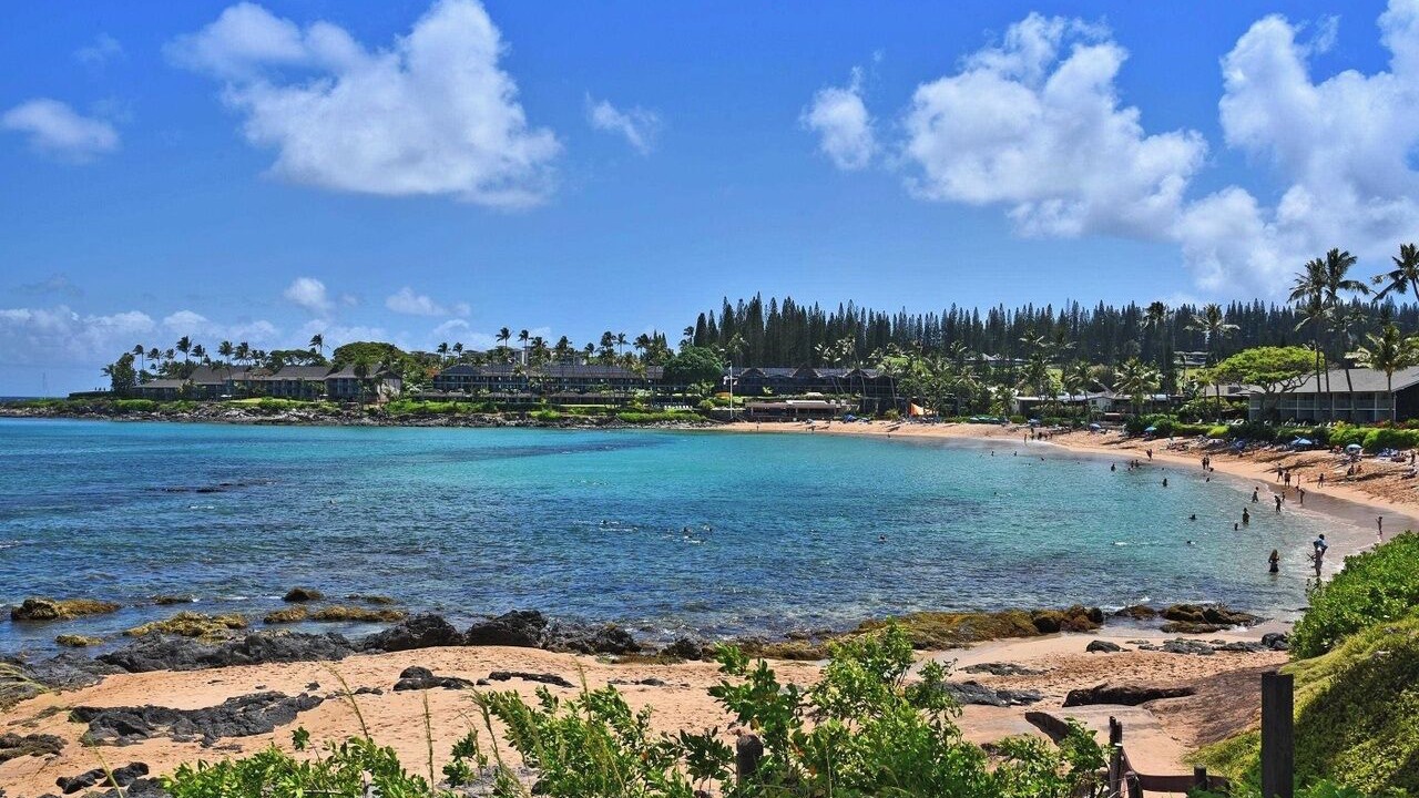 Photo of Others in Napili