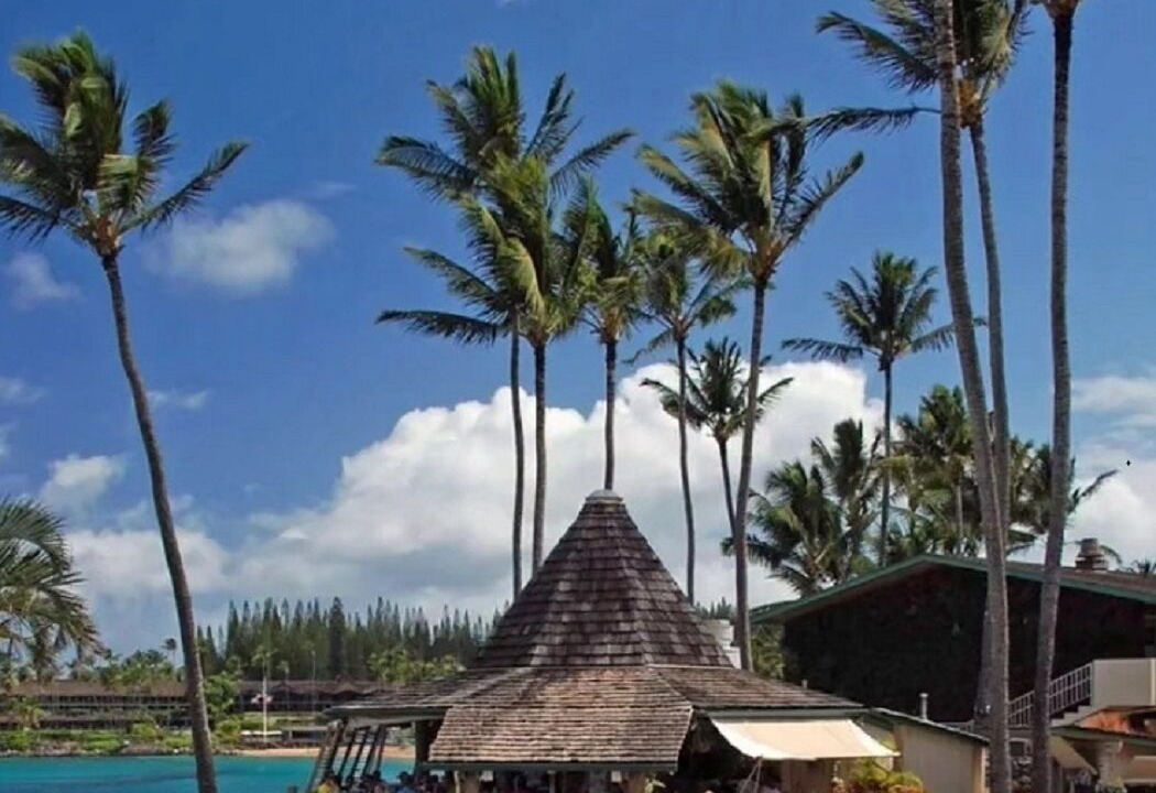 Photo of Outdoor in Napili
