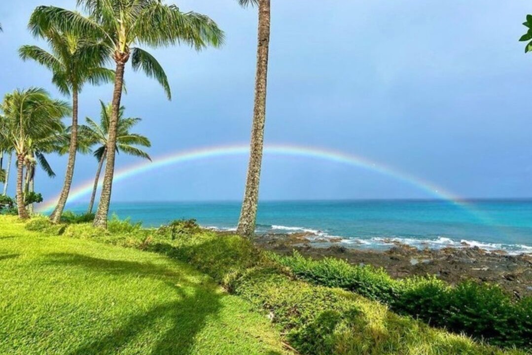 Photo of Others in Napili
