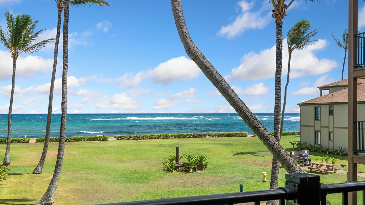 Photo of Others in Kapaa