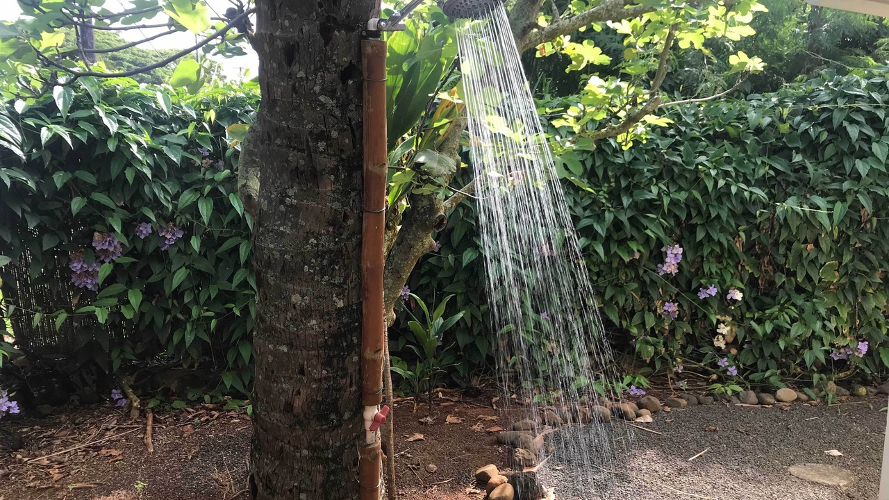Photo of Others in Wailua