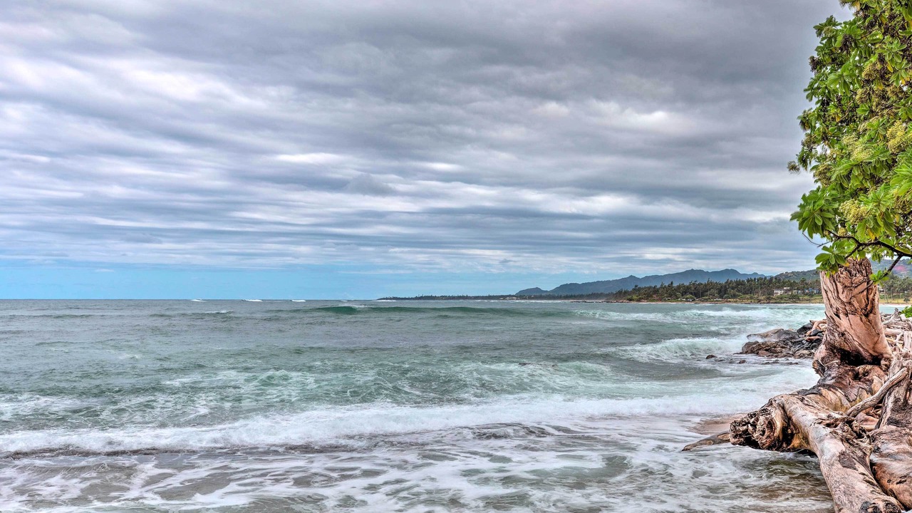Photo of Others in Wailua